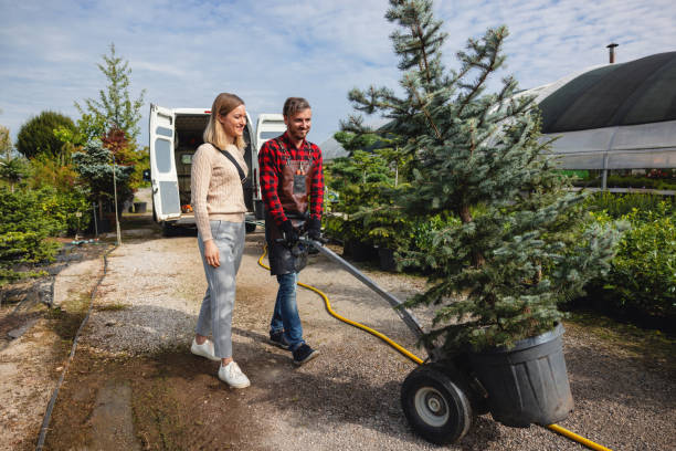 Best Lawn Mowing  in USA